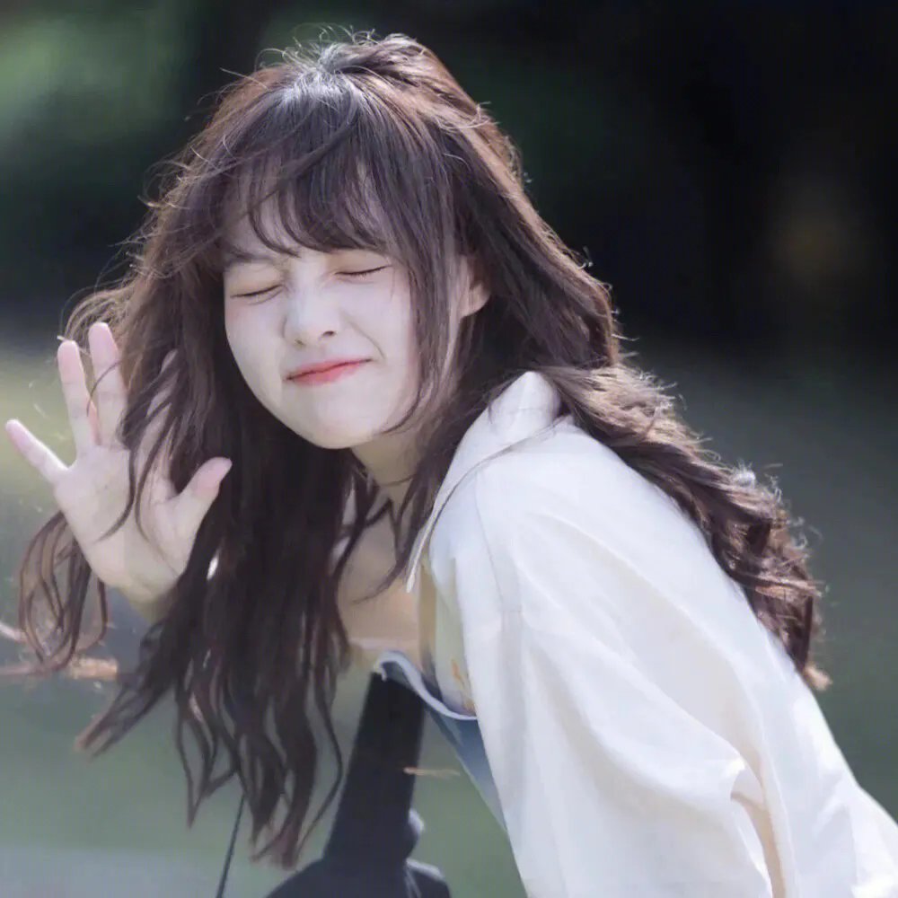 文豪野犬第五季